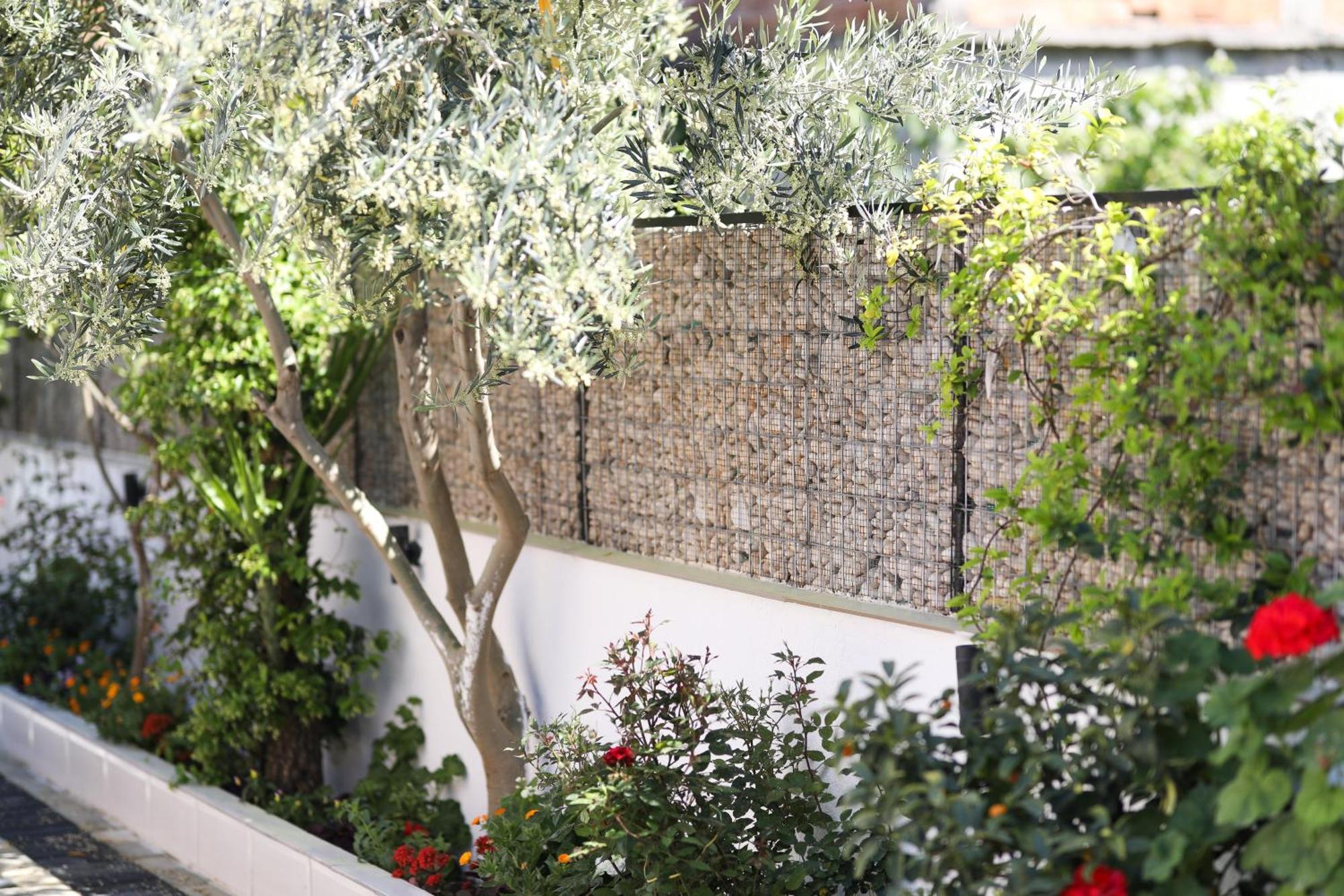 Vila Feliz - Premium Rooms With Free Private Parking Vlorë Exterior foto